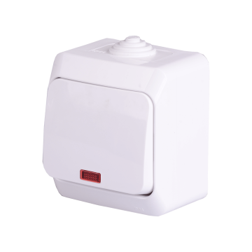 Intrerupator cap scara cu LED, WDE000561 Schneider Cedar Plus, montaj aparent, alb, IP 44