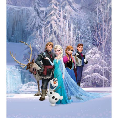Fototapet duplex Disney Frozen
