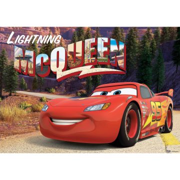 Fototapet duplex Disney Cars, 184 x 254 cm