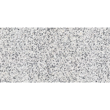 Gresie portelanata interior/exterior Cesarom, Granito, finisaj mat, gri, antiderapanta, dreptunghi, grosime 9 mm, 60 x 30 cm
