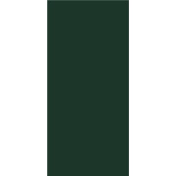 Pal melaminat Egger, color uni, verde brad U699 ST9, 2800 x 2070 x 18 mm