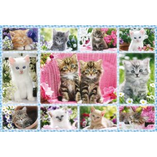 Puzzle 100 piese - Kittens