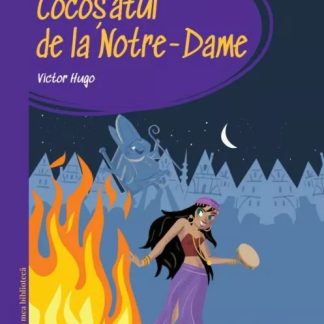 Cocosatul de la Notre-Dame
