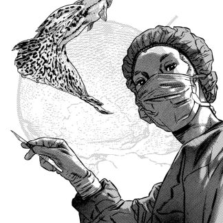 Homunculus Omnibus - Volumes 5-6