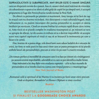 Viata intarziata a lui Amy Byler