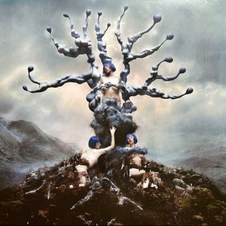 Weedkiller (Alternate Art Recycled Vinyl)