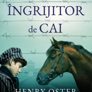 Micul ingrijitor de cai