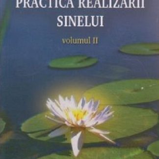 Practica realizarii sinelui, Volumul 2