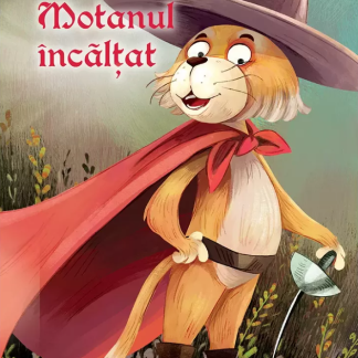 Ce ne invata Motanul incaltat