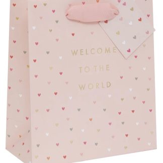 Punga de cadou - Medium - Welcome to the World Pink