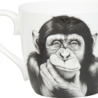 Cana - Thinking Monkey