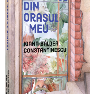 Castelul din orasul meu