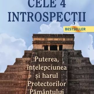 Cele 4 introspectii