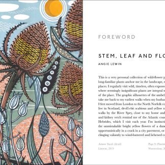 The Book of Wild Flowers