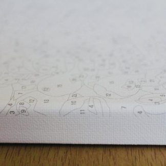 Pictura pe numere - Puterea leului