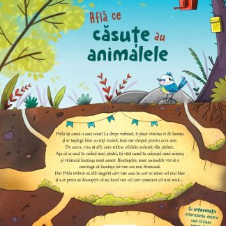 Cea mai frumoasa casa