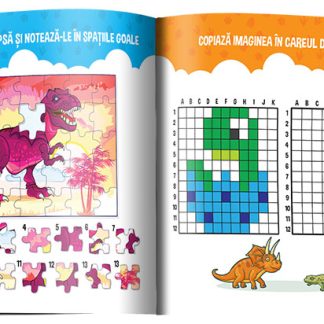 Jocuri de logica si atentie