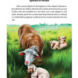 Aventurile lui Norisor