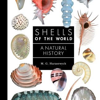 Shells of the World