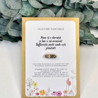 Felicitare plantabila - Puneti o dorinta si las-o sa creasca!