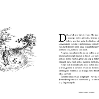 A cui palarie zboara