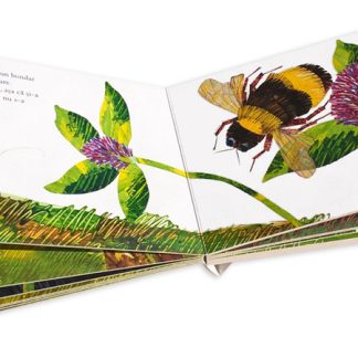 Cantecul greierasului