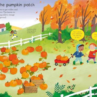 First Sticker Book Weather and Seasons