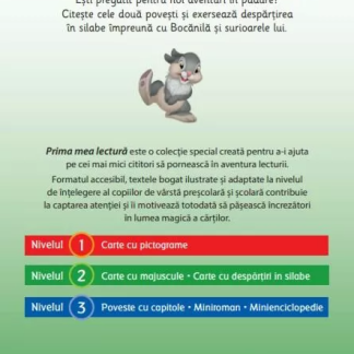 Bocanila se joaca cu numere si forme (Nivelul 2 Carte cu despartiri in silabe)