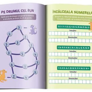 Dragonii te invata socoteli