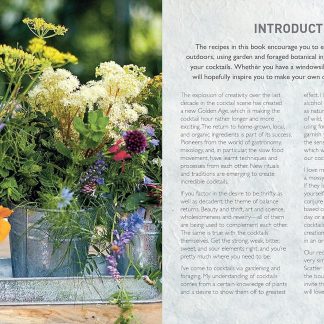 Wild Cocktails (Cards)