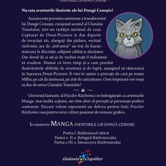 Aventurile lui Dunga Cenusie