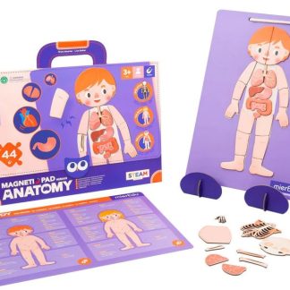 Puzzle magnetic - Anatomia umana