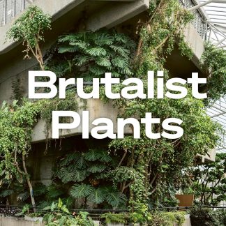 Brutalist Plants