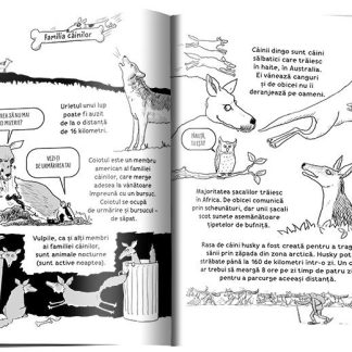 Tot ce e cool sa stii la 7 ani