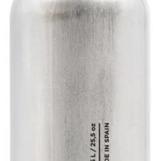 Termos - Argintiu metalizat