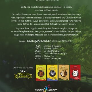 Viziunea din umbre - Furtuna Dezlantuita