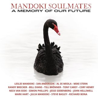 A Memory Of Our Future - Vinyl