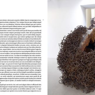 Anish Kapoor: Untrue Unreal