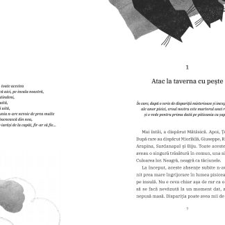 Ultima pisica neagra