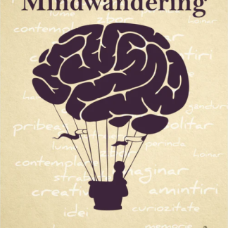 Mindwandering