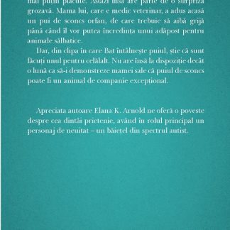 Un baiat pe nume Bat