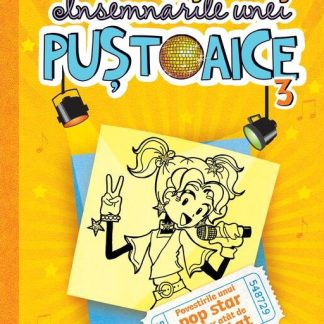 Povestirile unui pop star nu chiar atat de talentat