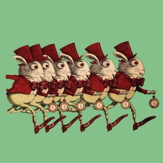 Peripetiile Alisei in Tara Minunilor