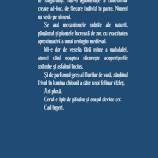 Povestiri la colt de strada