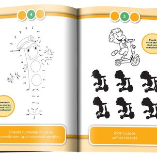 Reguli de circulatie