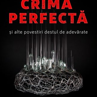 Crima perfecta si alte povestiri destul de adevarate