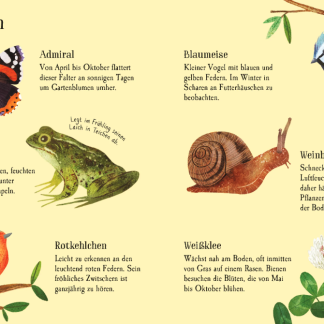 Naturfuhrer: In der Stadt Tiere und Pflanzen