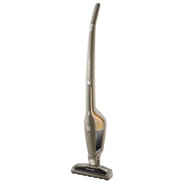 Aspirator vertical Electrolux Ergorapido ZB3002, 0.5 L, 12 V