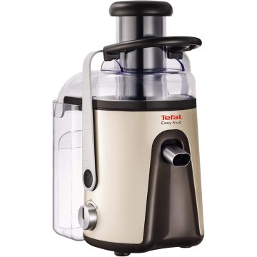 Storcator de fructe si legume Tefal ZE585H38, 700 W, 1.25 l, Argintiu/Negru