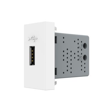 Priza USB Livolo